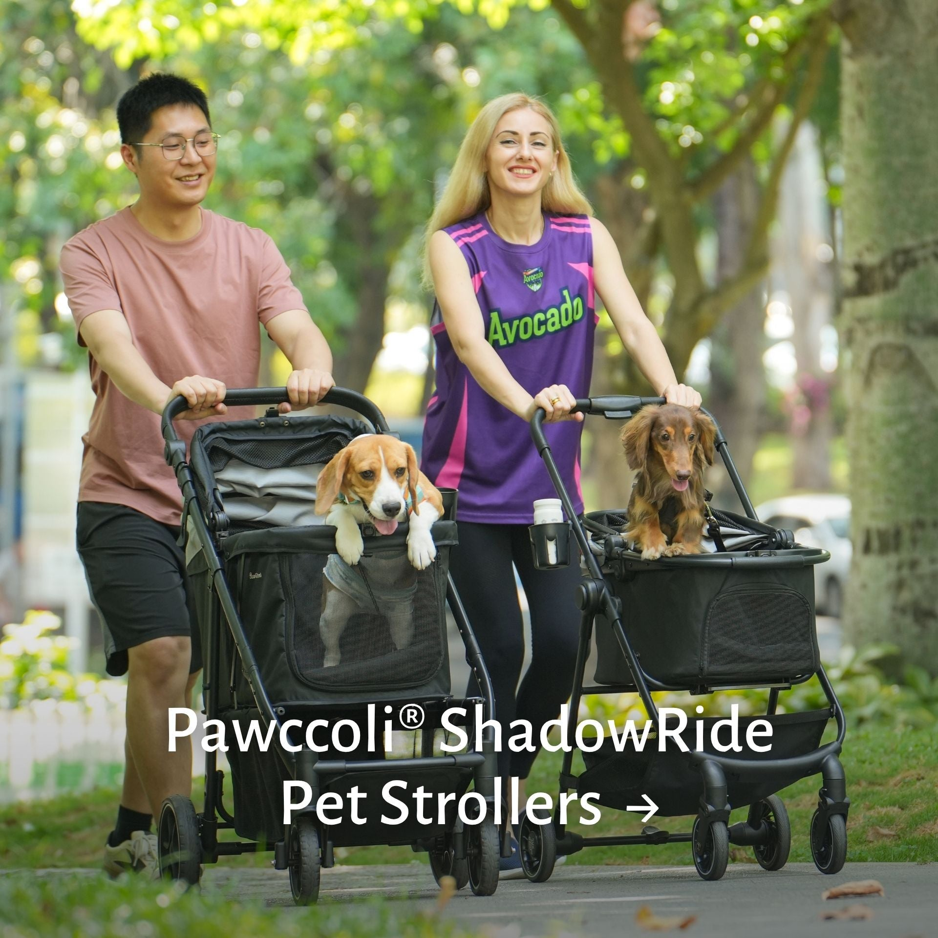 Pet Strollers – Pawccoli