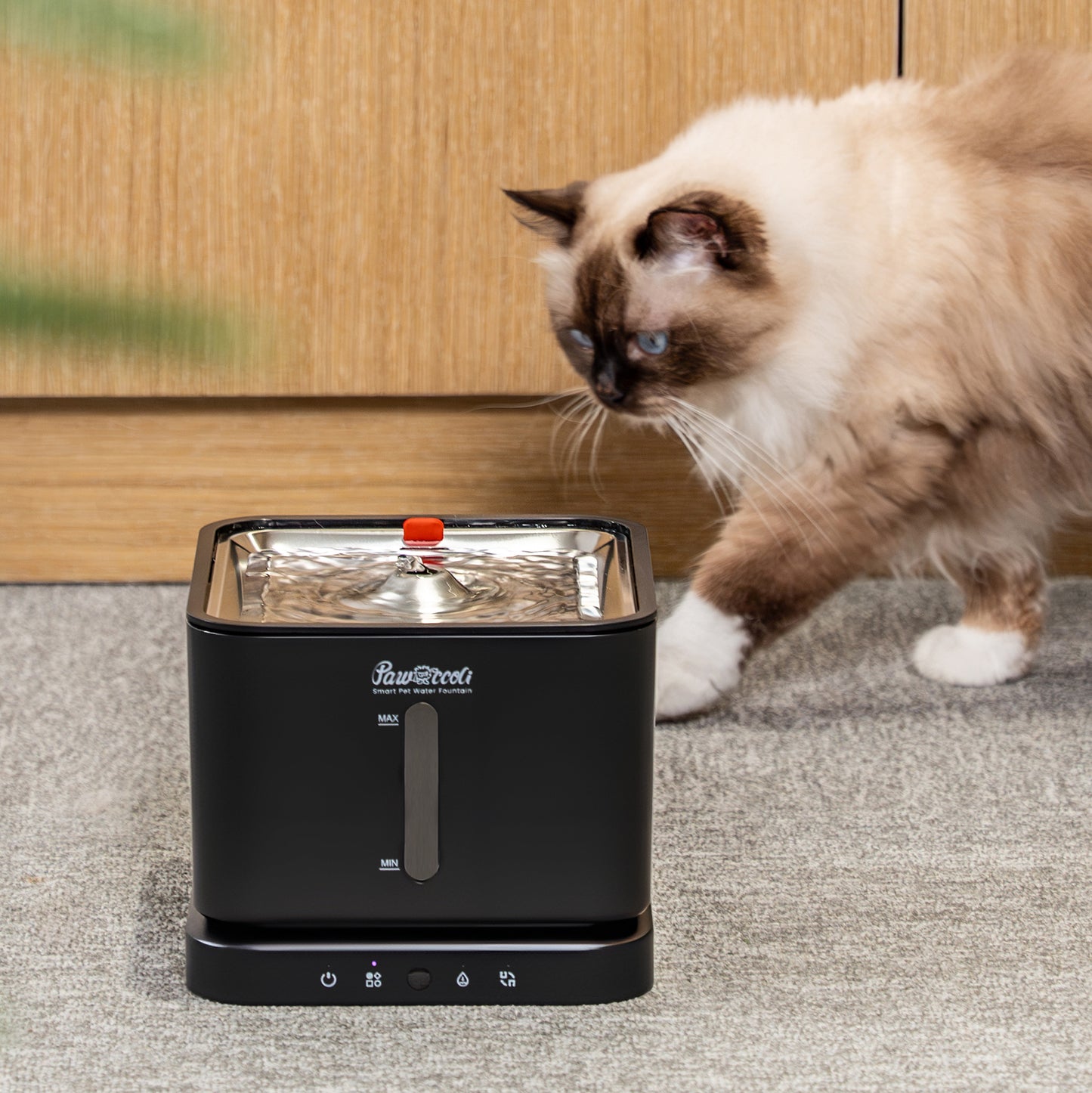 Pawccoli 100 oz Cordless Pet Fountain - PureFlow Cordless Black