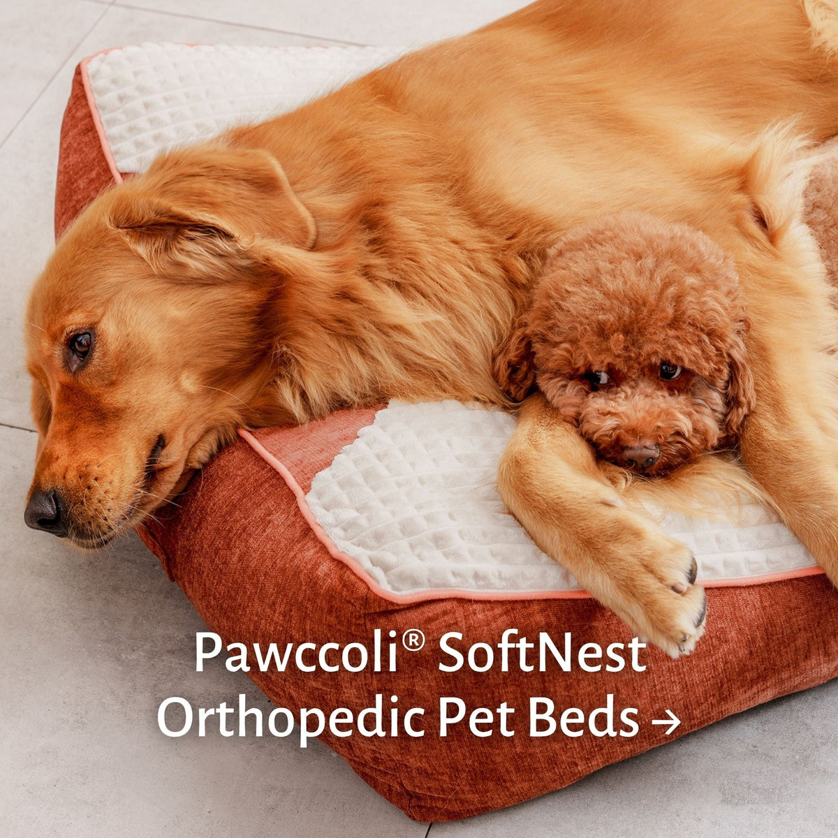 Pet Beds
