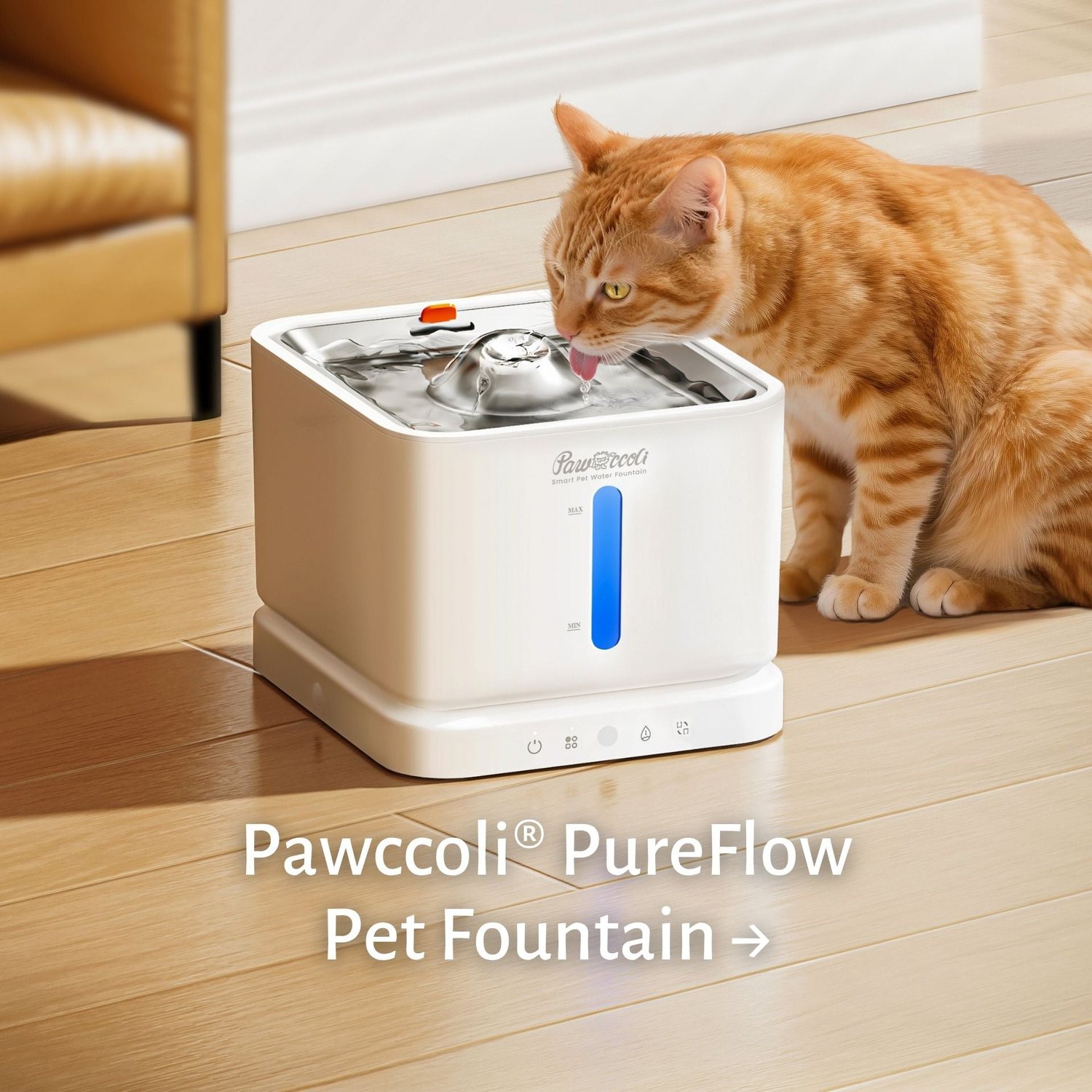 Pet Fountain