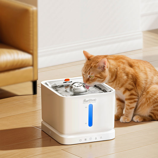 Pawccoli 100 oz Cordless Pet Fountain - PureFlow Cordless White