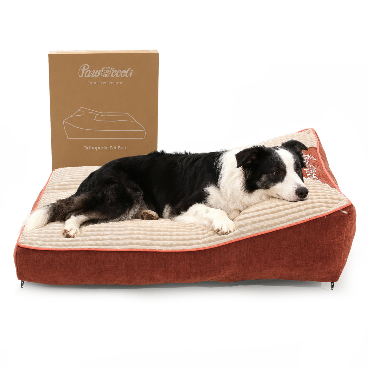 Pawccoli Orthopedic Dog Bed L