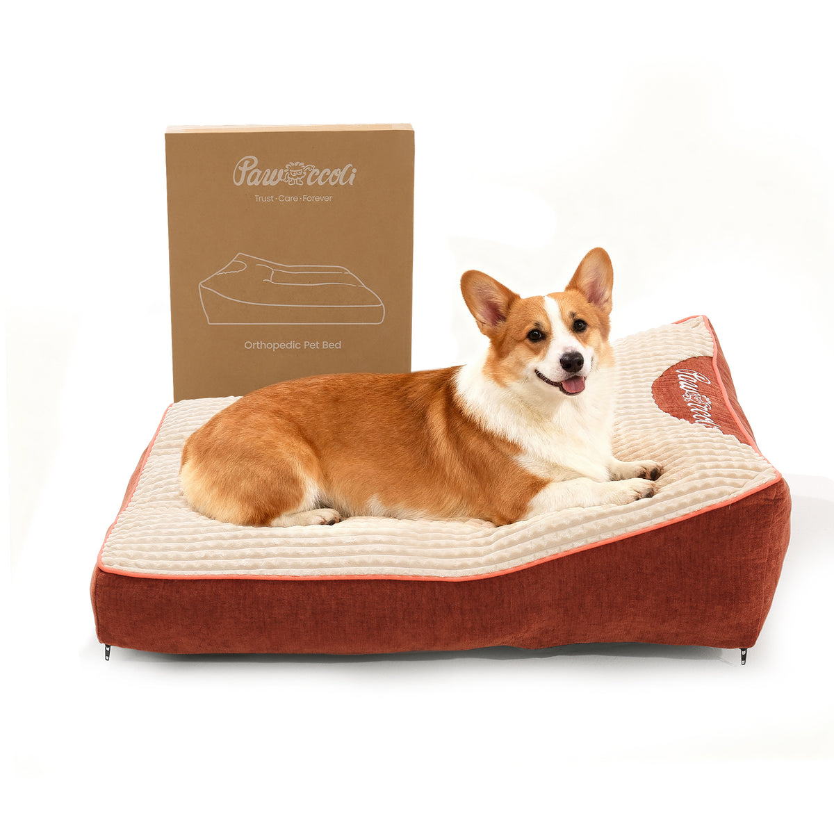 Pawccoli Orthopedic Dog Bed M