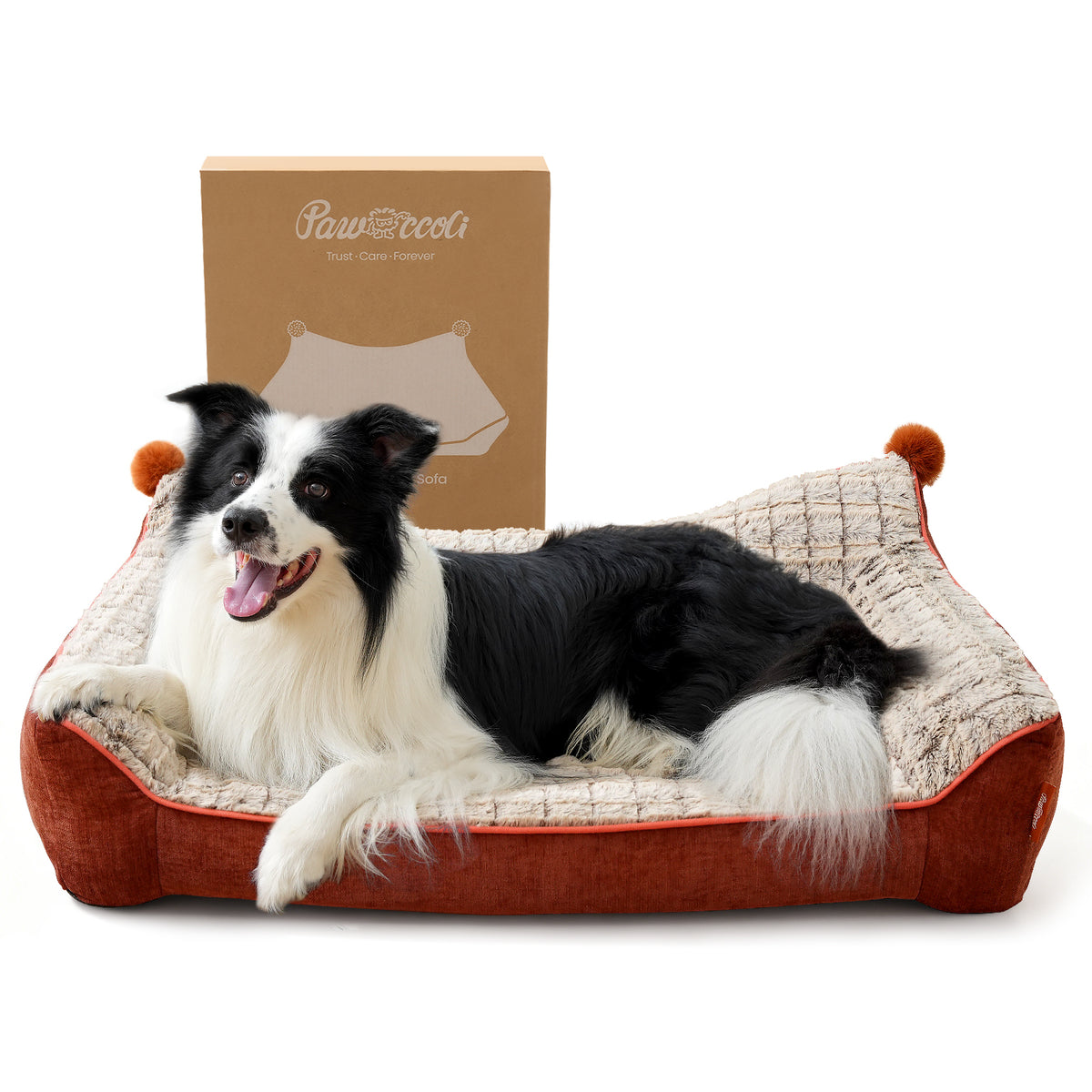 Pawccoli Orthopedic Dog Sofa L